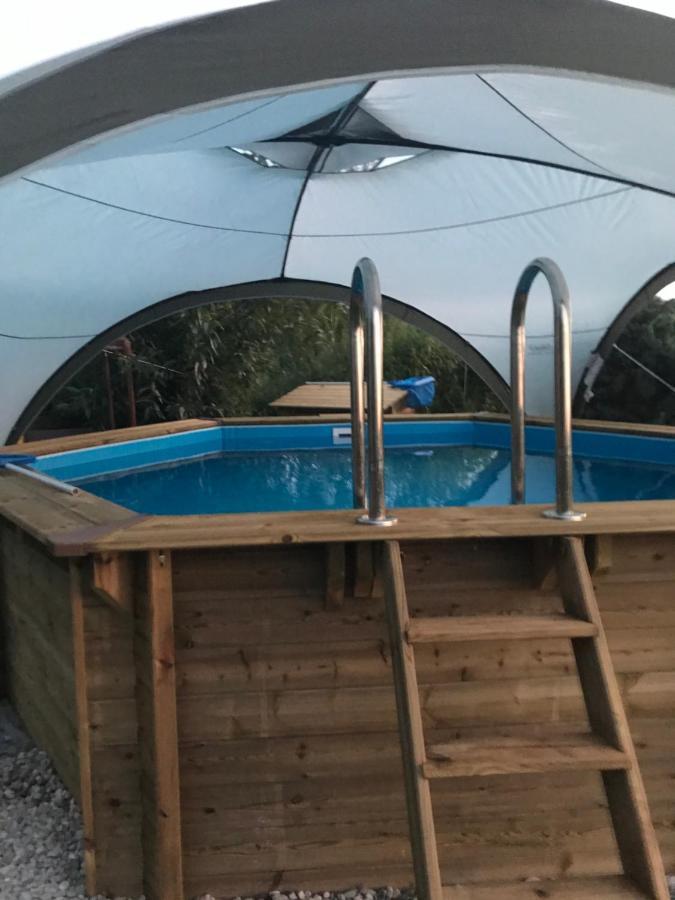 Baldies Tenne In Ostseenaehe *