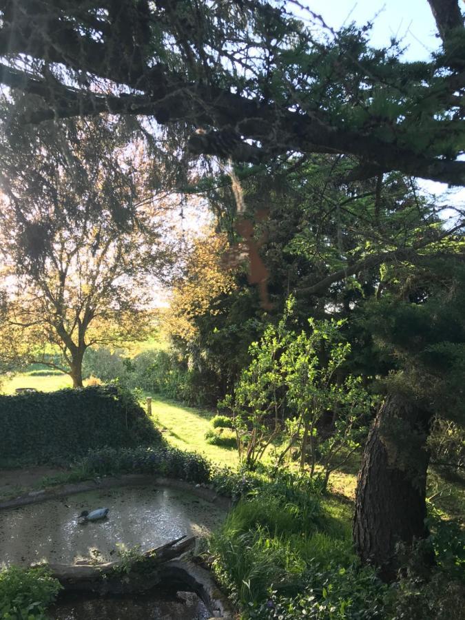 Appartement Baldies Tenne In Ostseenaehe
