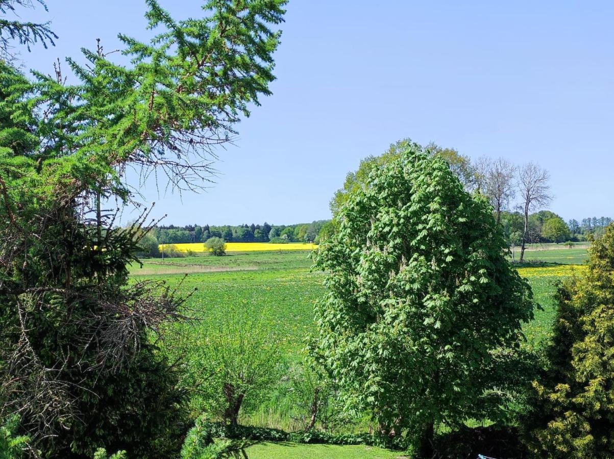 Baldies Tenne In Ostseenähe *
